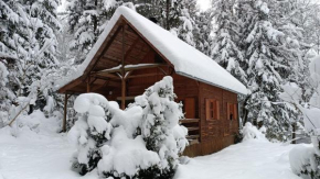 Chata Sport Vysočina, Nové Mesto Na Morave